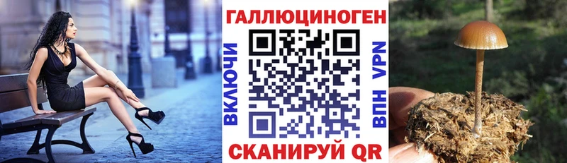 Псилоцибиновые грибы GOLDEN TEACHER Пенза