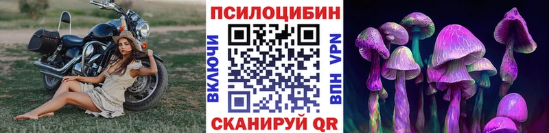 Псилоцибиновые грибы Psilocybe  цена   Пенза 